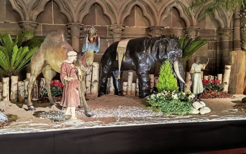 Schowek_12-19-2025_17