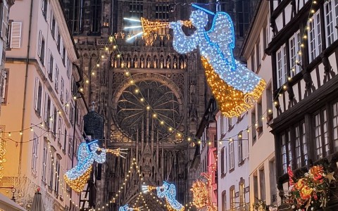 Schowek_12-19-2025_20