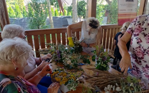 IMG20250813144953